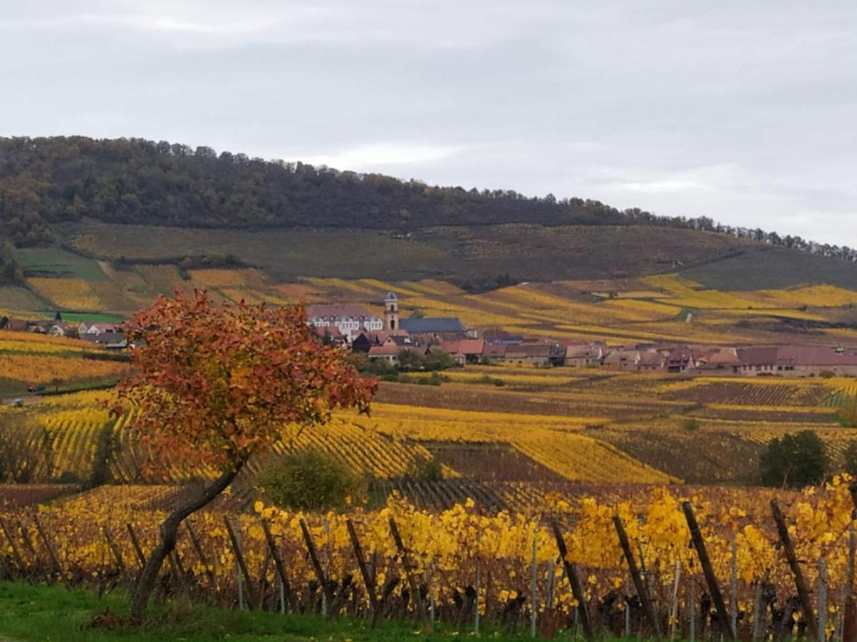 Le Bubele Au Coeur Du Centre Medieval Et Vignoble Ribeauvillé Εξωτερικό φωτογραφία